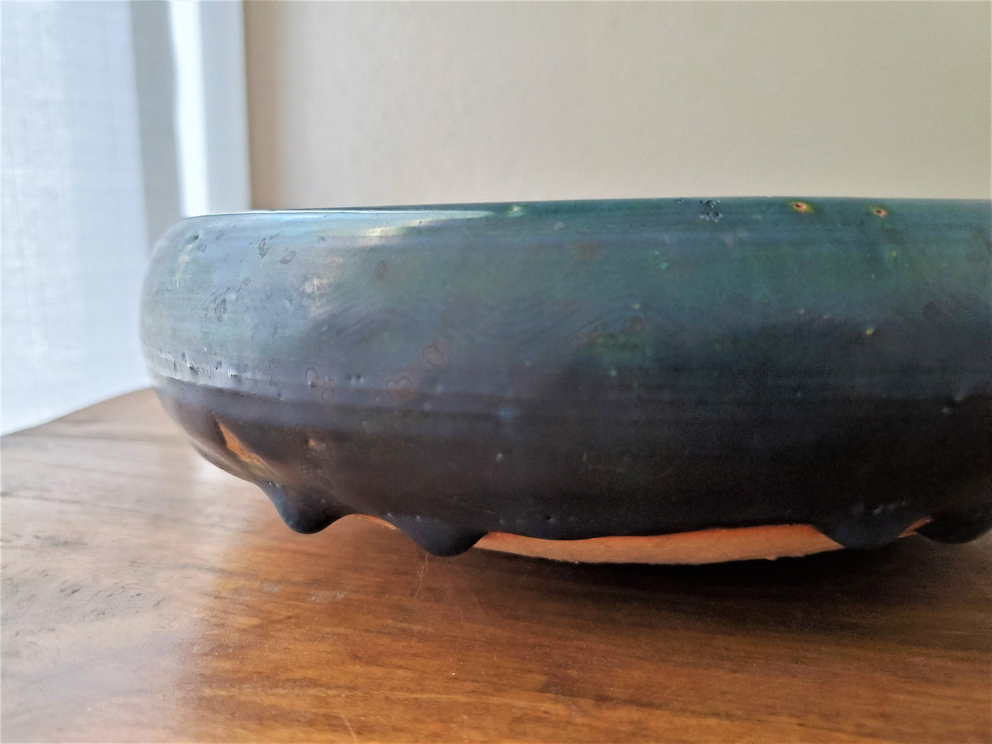 Biwa Bowl