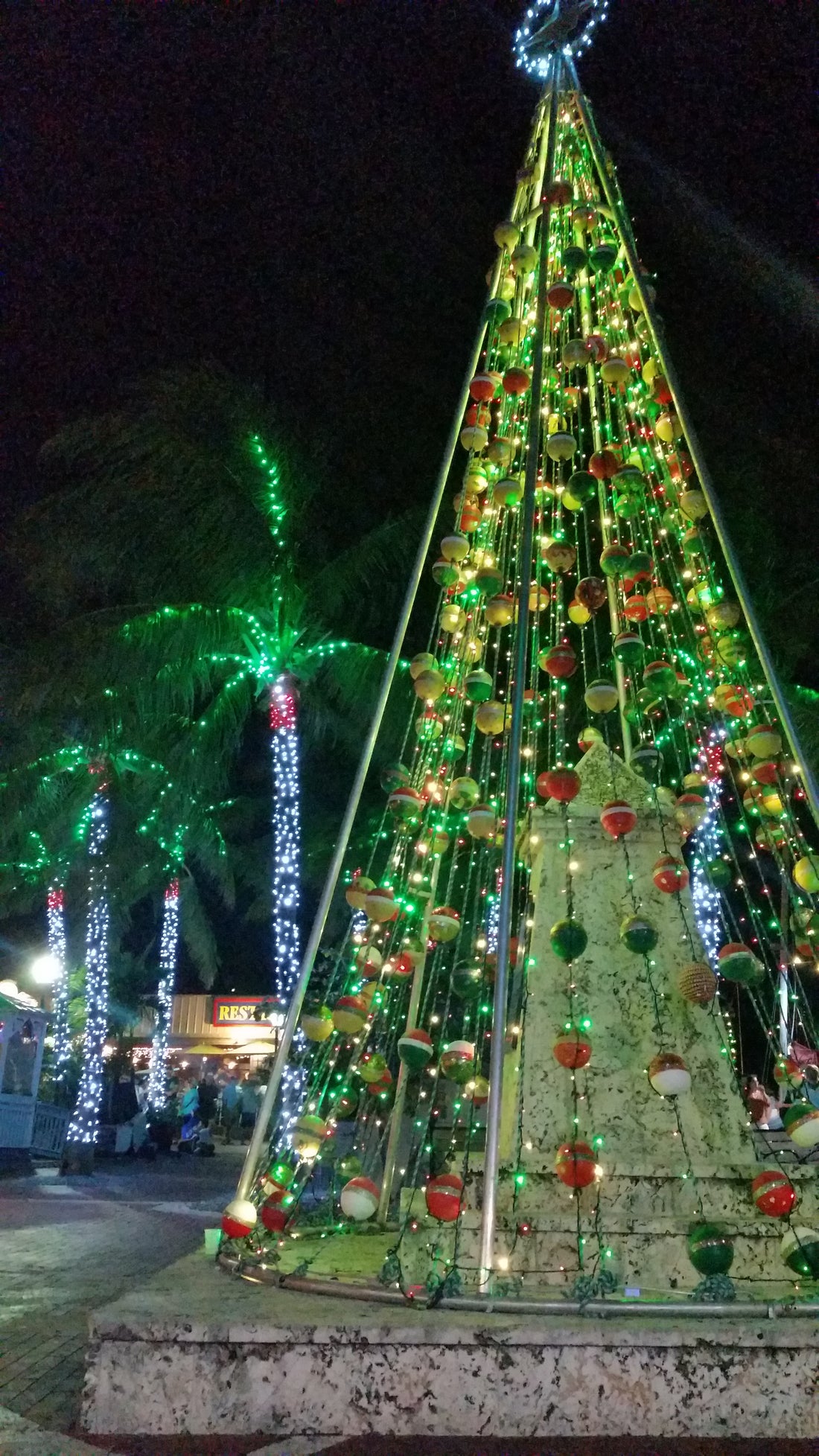 Key West Bight Christmas Lights