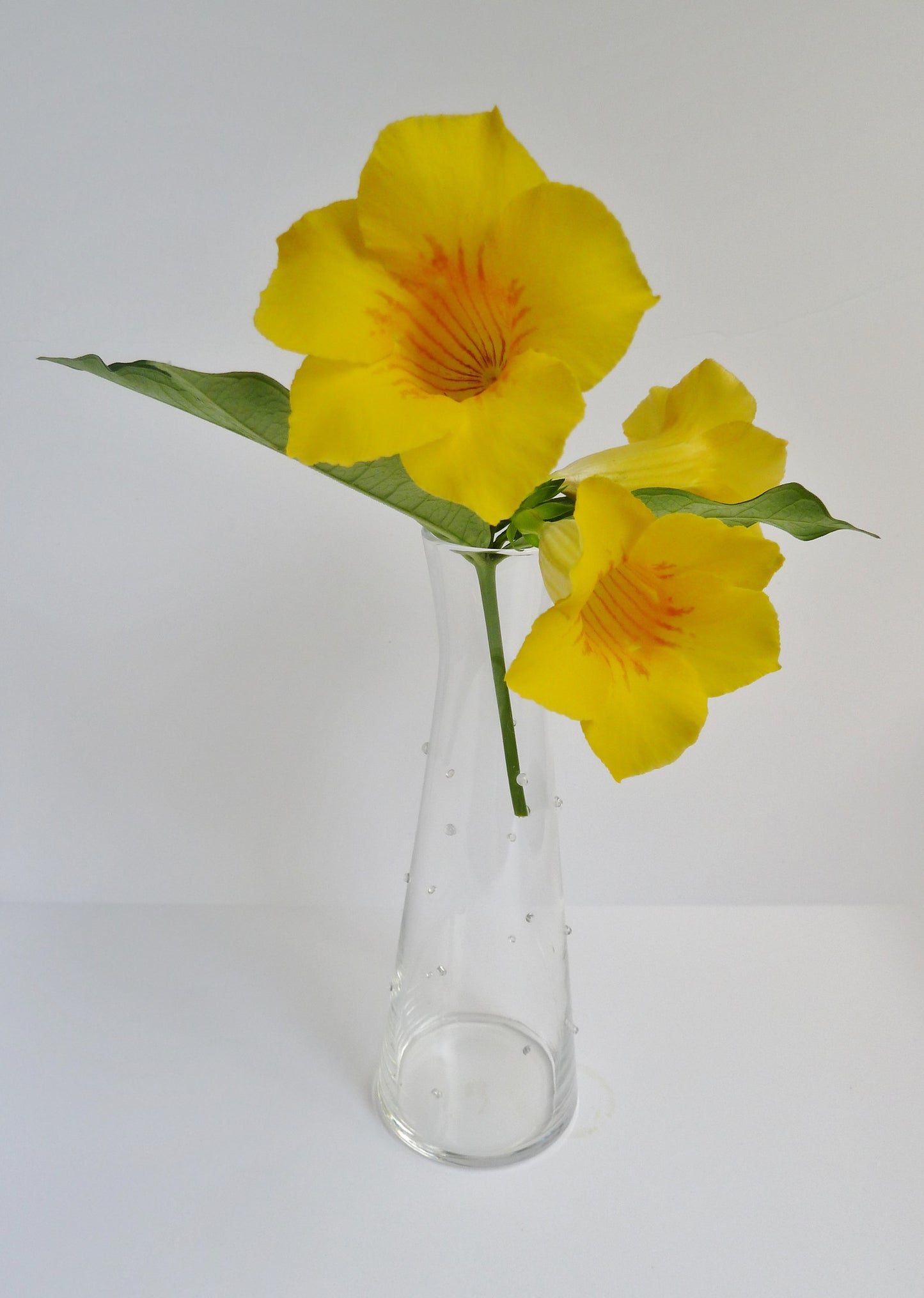 Beaker Vase