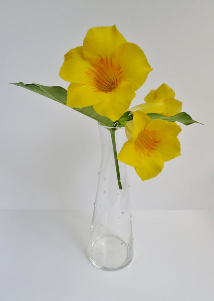 Beaker Vase
